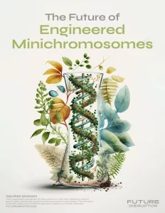 The Future of Engineered Minichromosomes