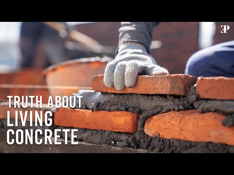 The Truth About 'Living' Concrete Everybody Should know